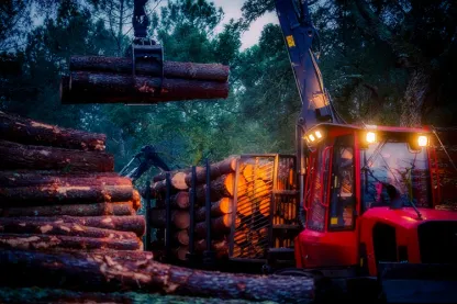 Image about forestry