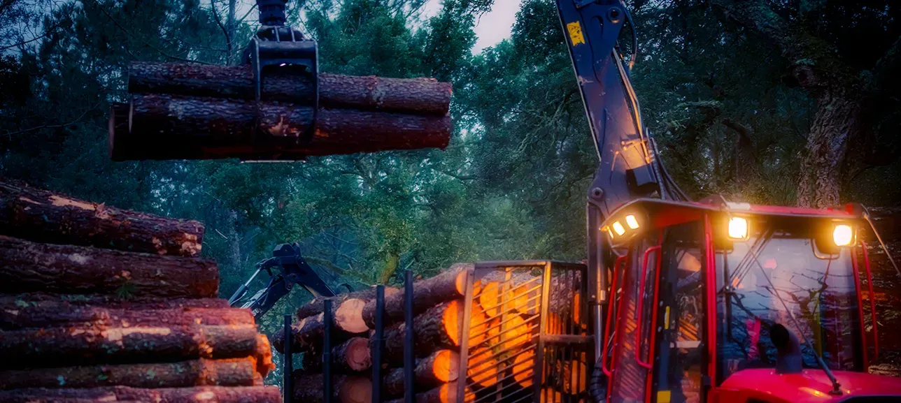 Reliable Encoding for Tough Forestry Operations